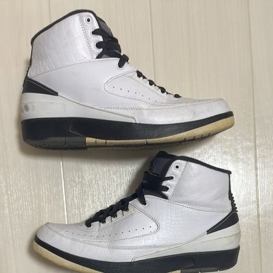 Nike Air Jordan 2 Retro "Wing It"