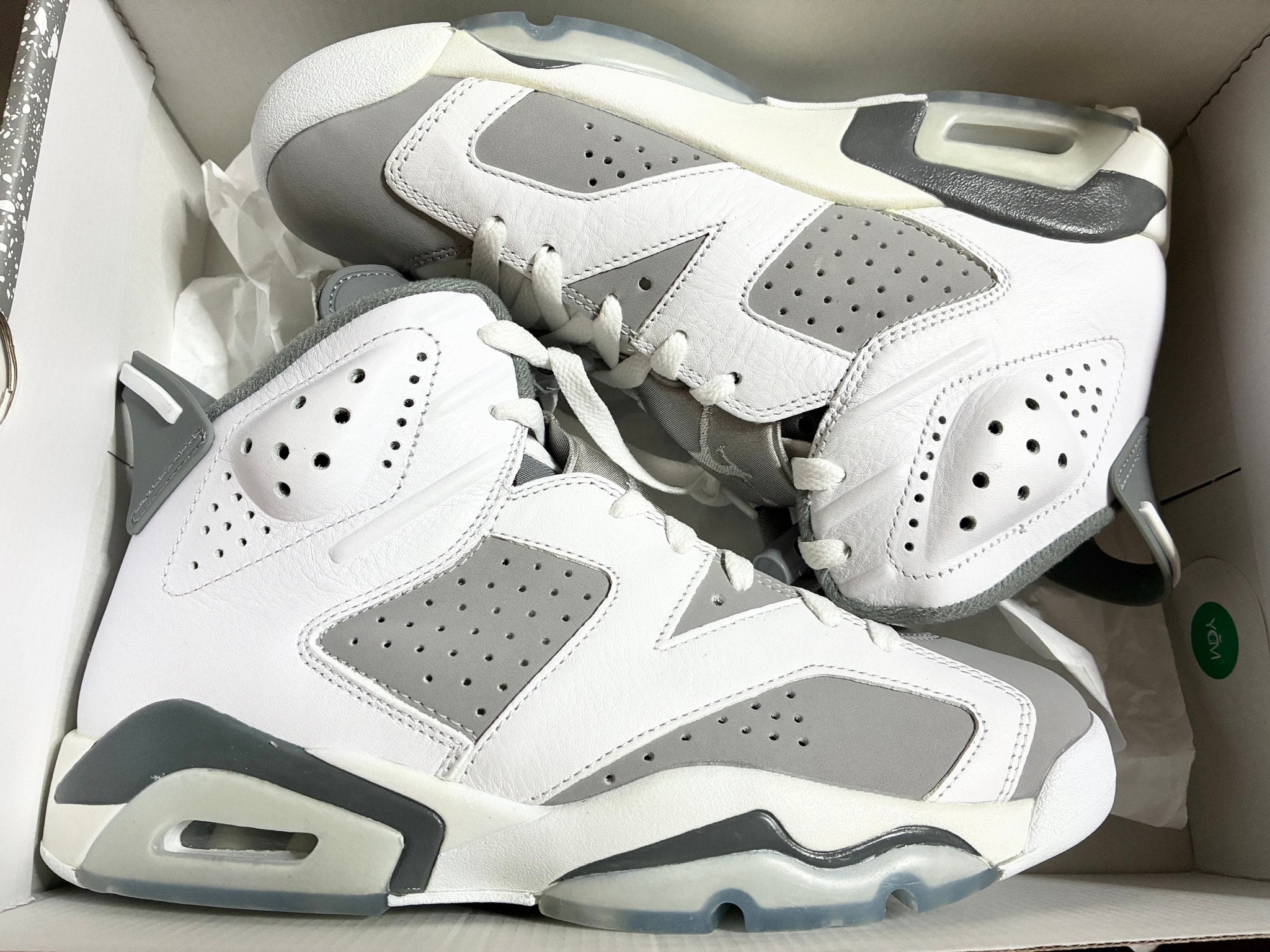 Nike  Air Jordan 6 "Cool Grey"