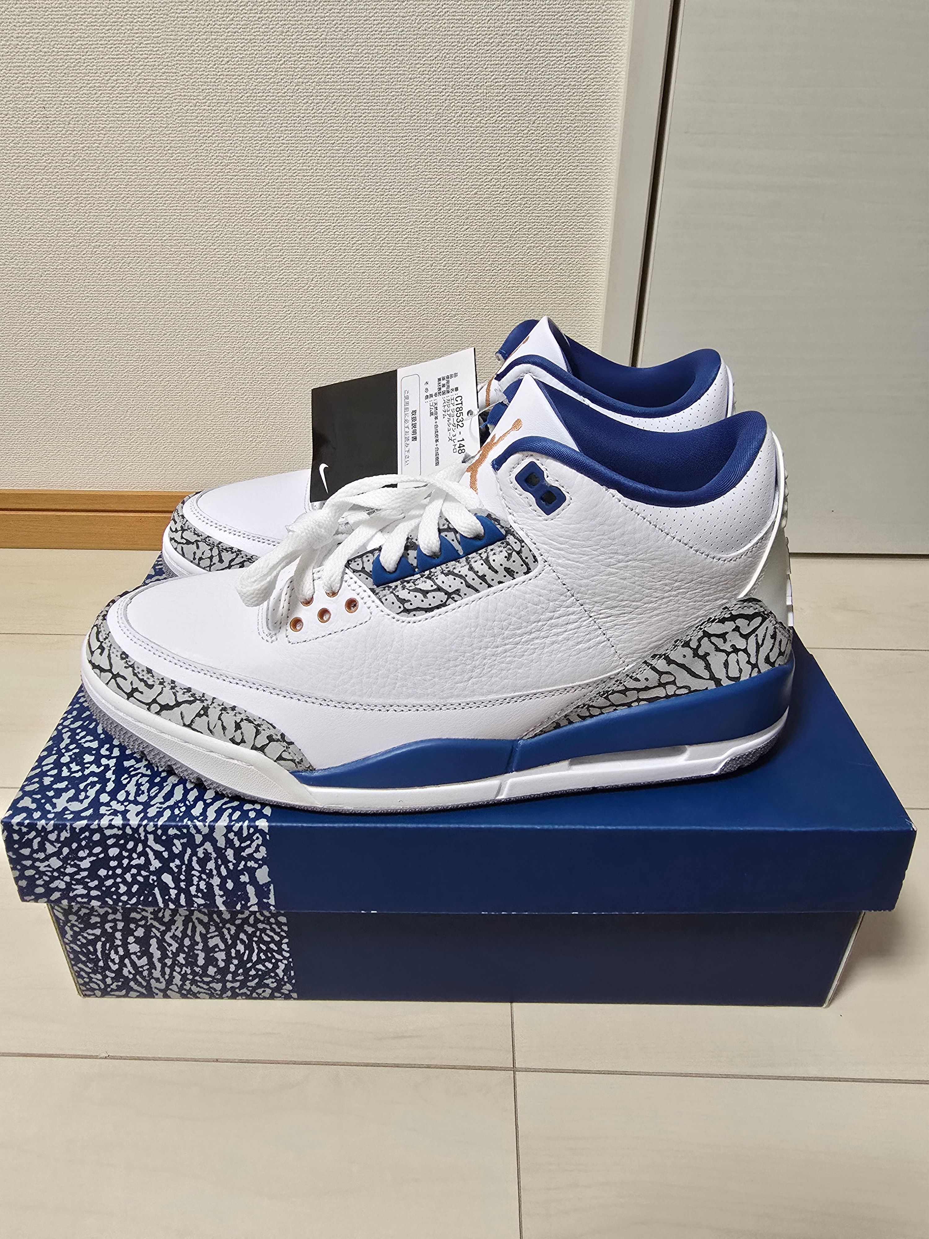 Nike Air Jordan 3 Retro "True Blue and Copper"
