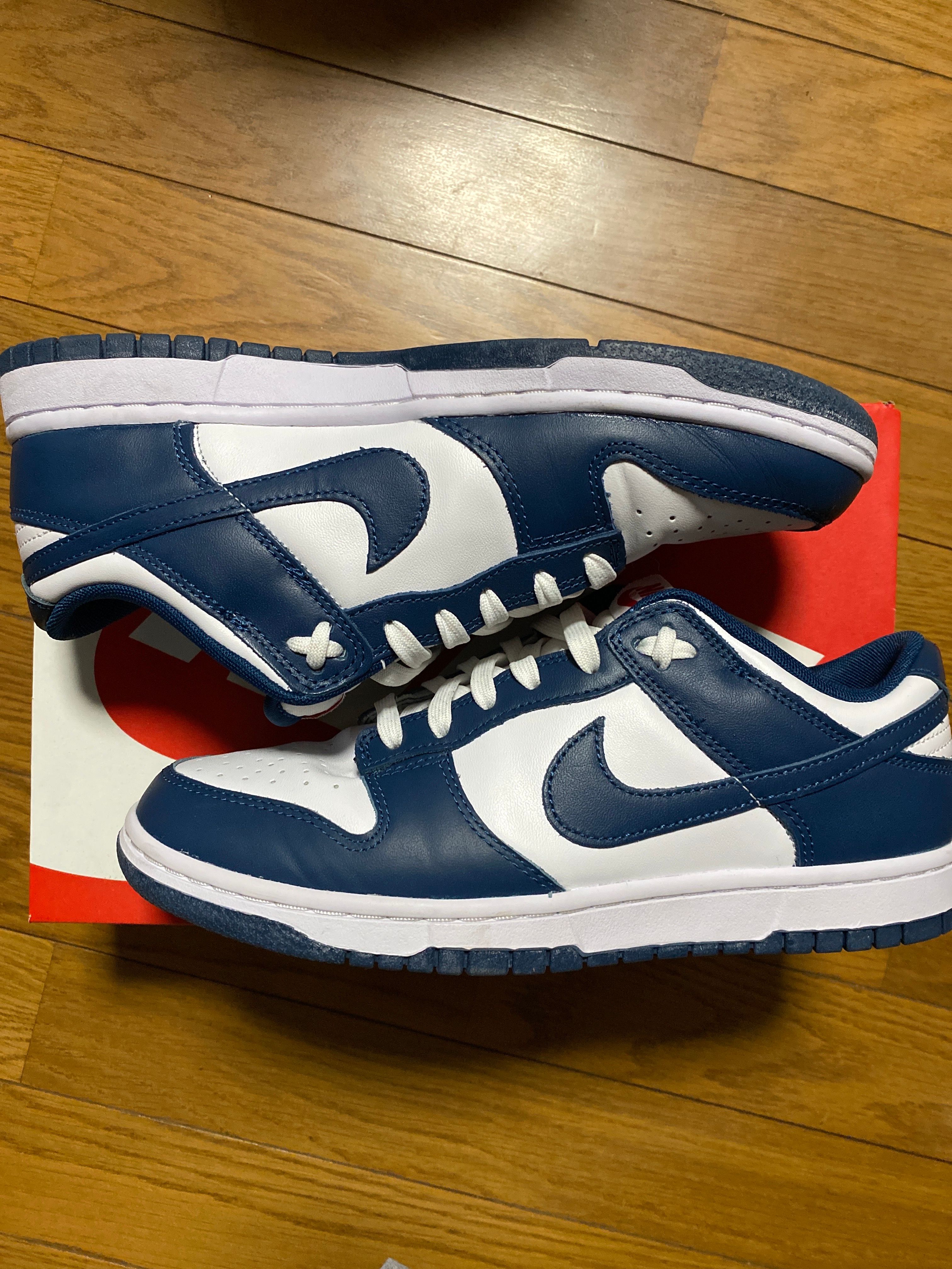 Nike Dunk Low "Valerian Blue"