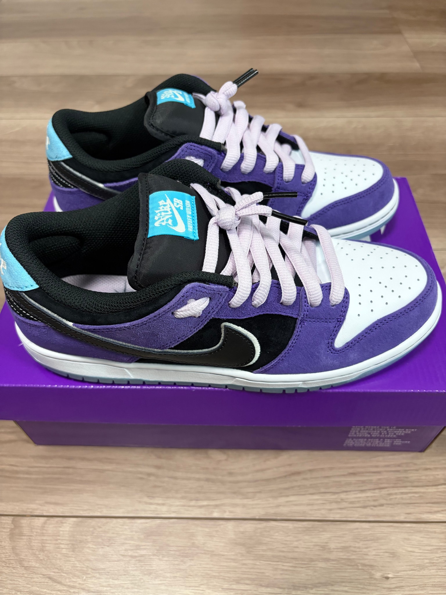 Hayley Wilson × Nike SB Dunk Low Pro "Black and Court Purple"