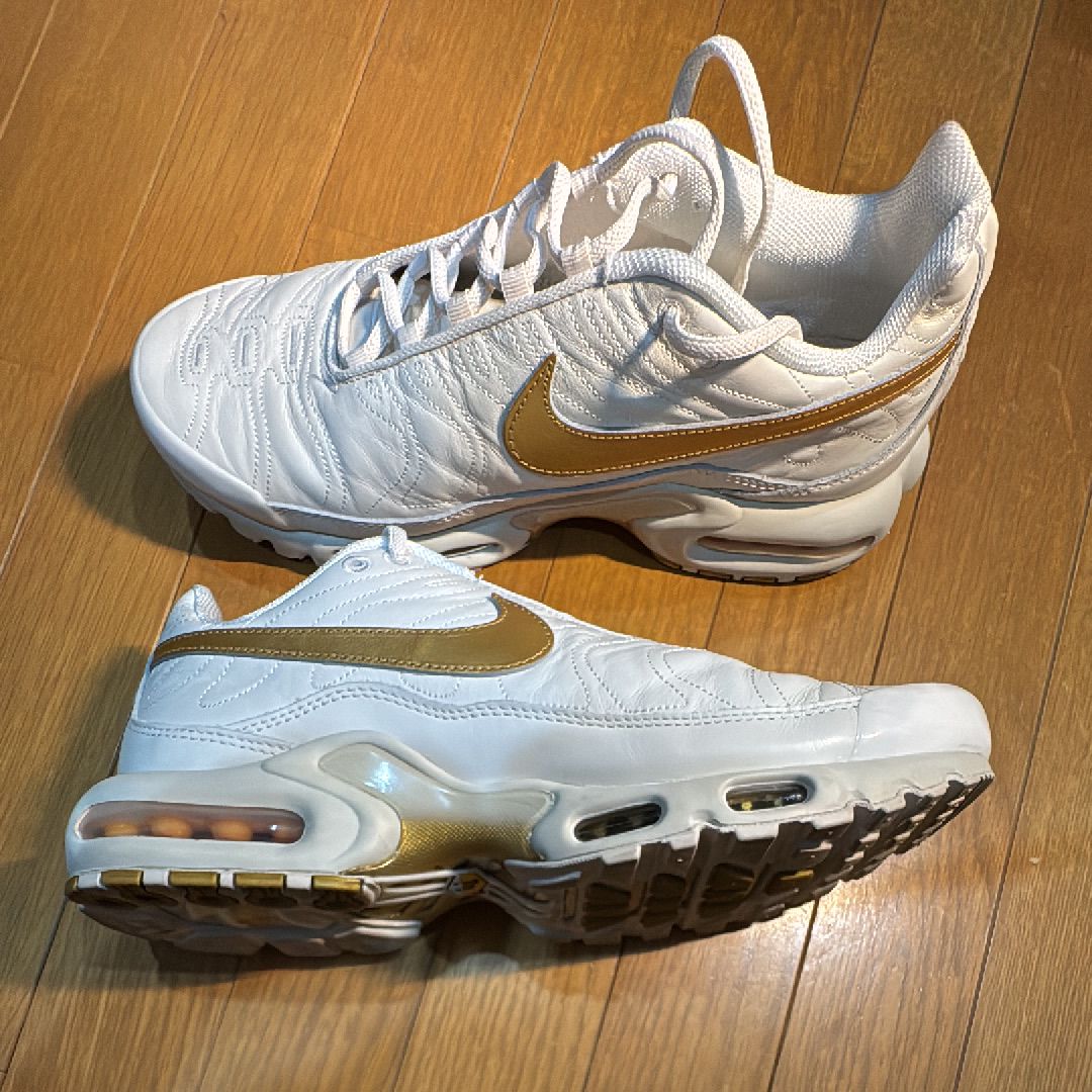 Nike Air Max Plus Tiempo "Phantom and Metallic Gold"