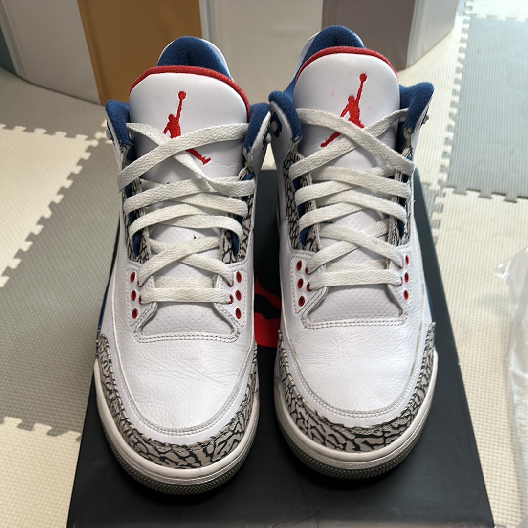 Nike Air Jordan 3 Retro "True Blue" (2016)