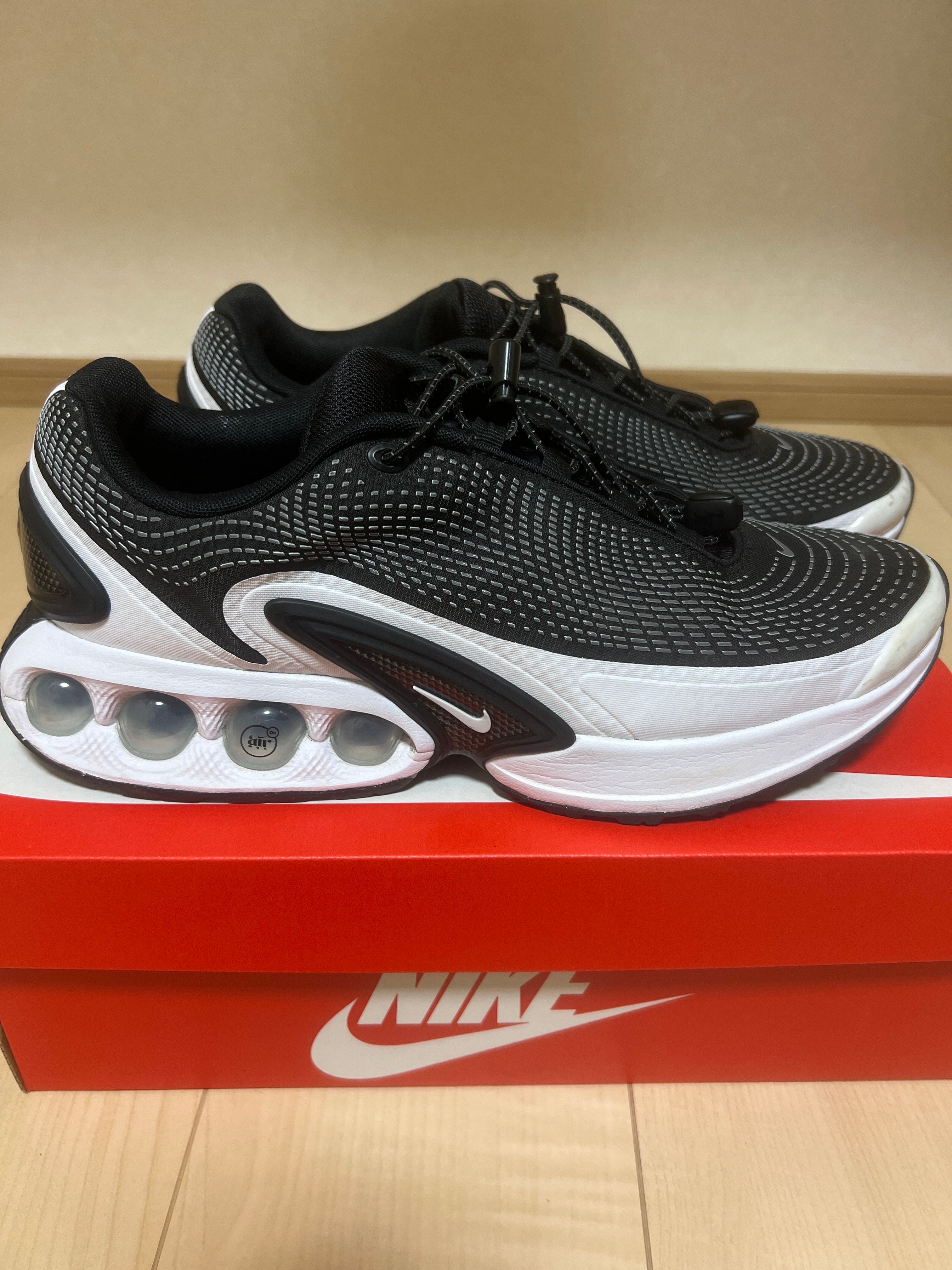 Nike Air Max DN "Black/White/Cool Grey/Pure Platinum"