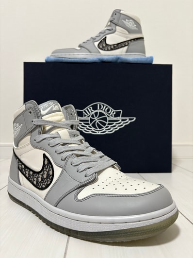 Dior × Nike Air Jordan 1 High OG "Wolf Grey"