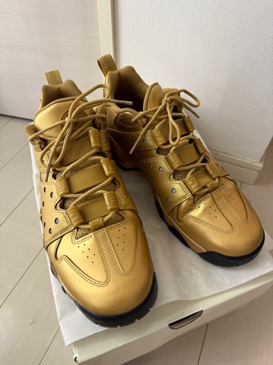 Supreme × Nike SB Air Max 2 CB 94 Low SP "Metallic Gold" (26SS Week2)