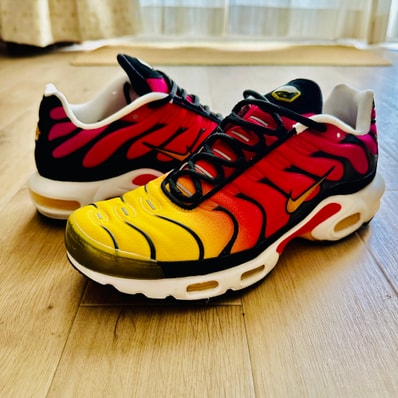 Nike Air Max Plus OG "Gradient"(2023)