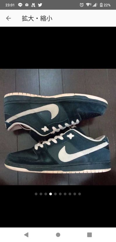 Nike SB Dunk Low PRO "Black/Washed Coral"