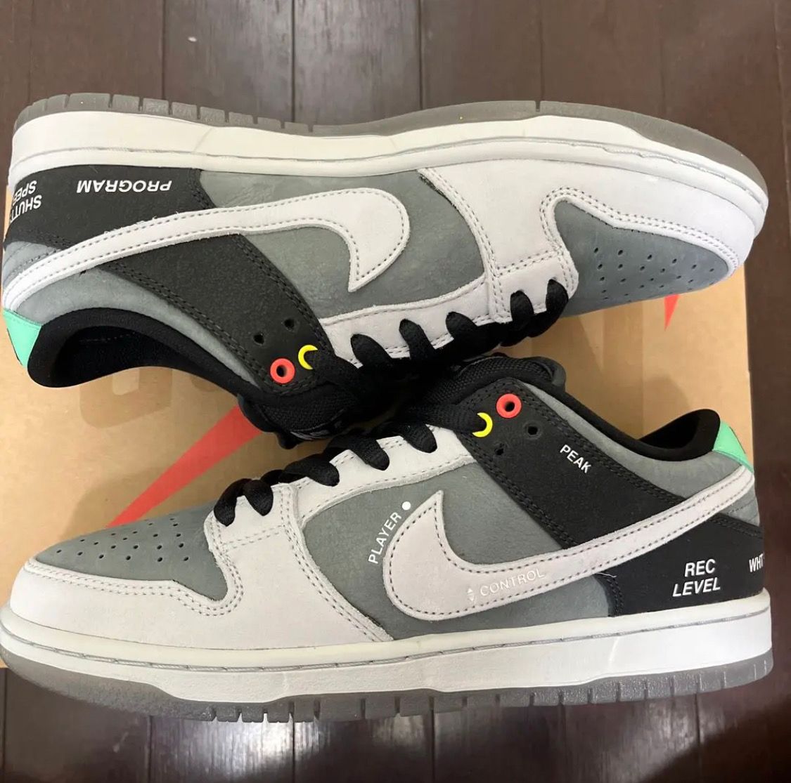 Nike SB Dunk Low Pro "VX1000 Camcorder"