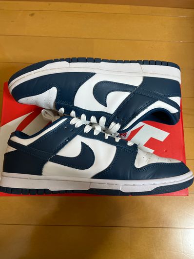 Nike Dunk Low "Valerian Blue"