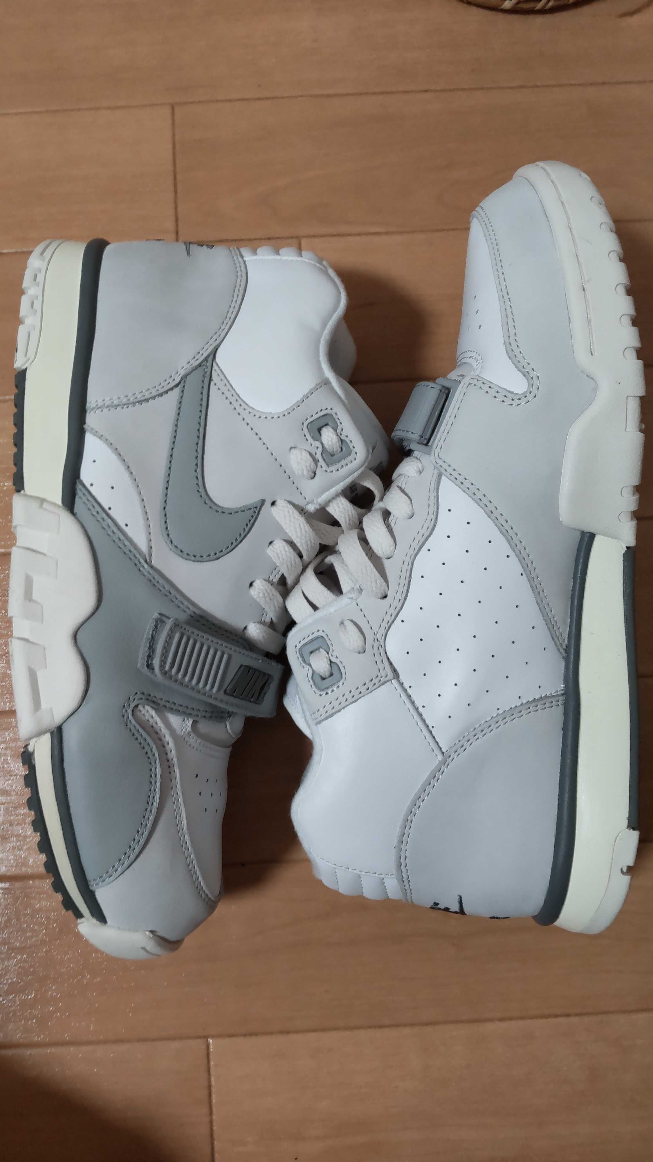 Nike Air Trainer 1 "Photon Dust/Light Smoke"