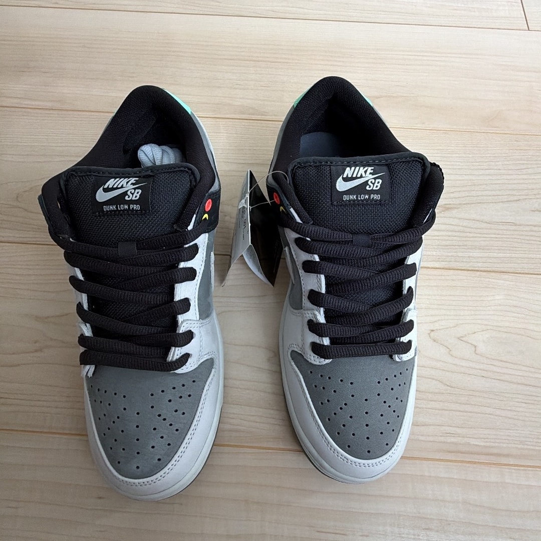 Nike SB Dunk Low Pro "VX1000 Camcorder"