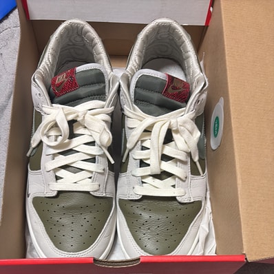 Nike Dunk Low Retro "Year of the Snake"