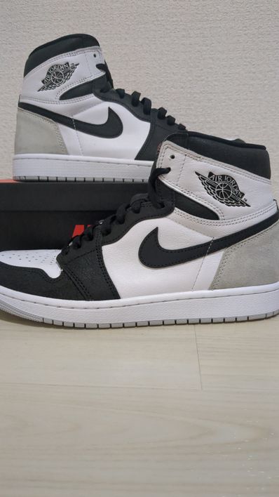 Nike Air Jordan 1 High OG "Bleached Coral"