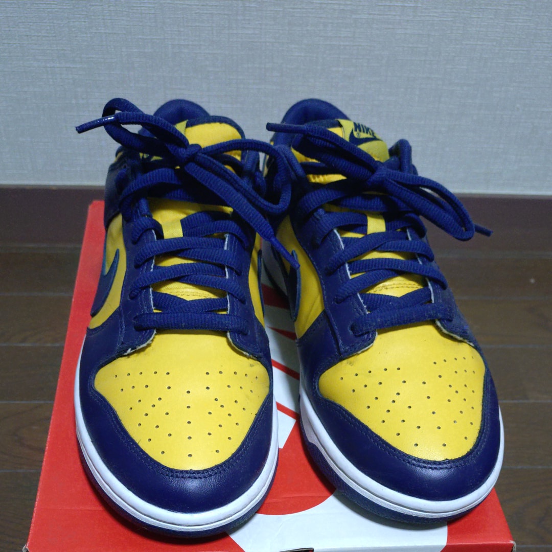 Nike Dunk Low "Michigan"