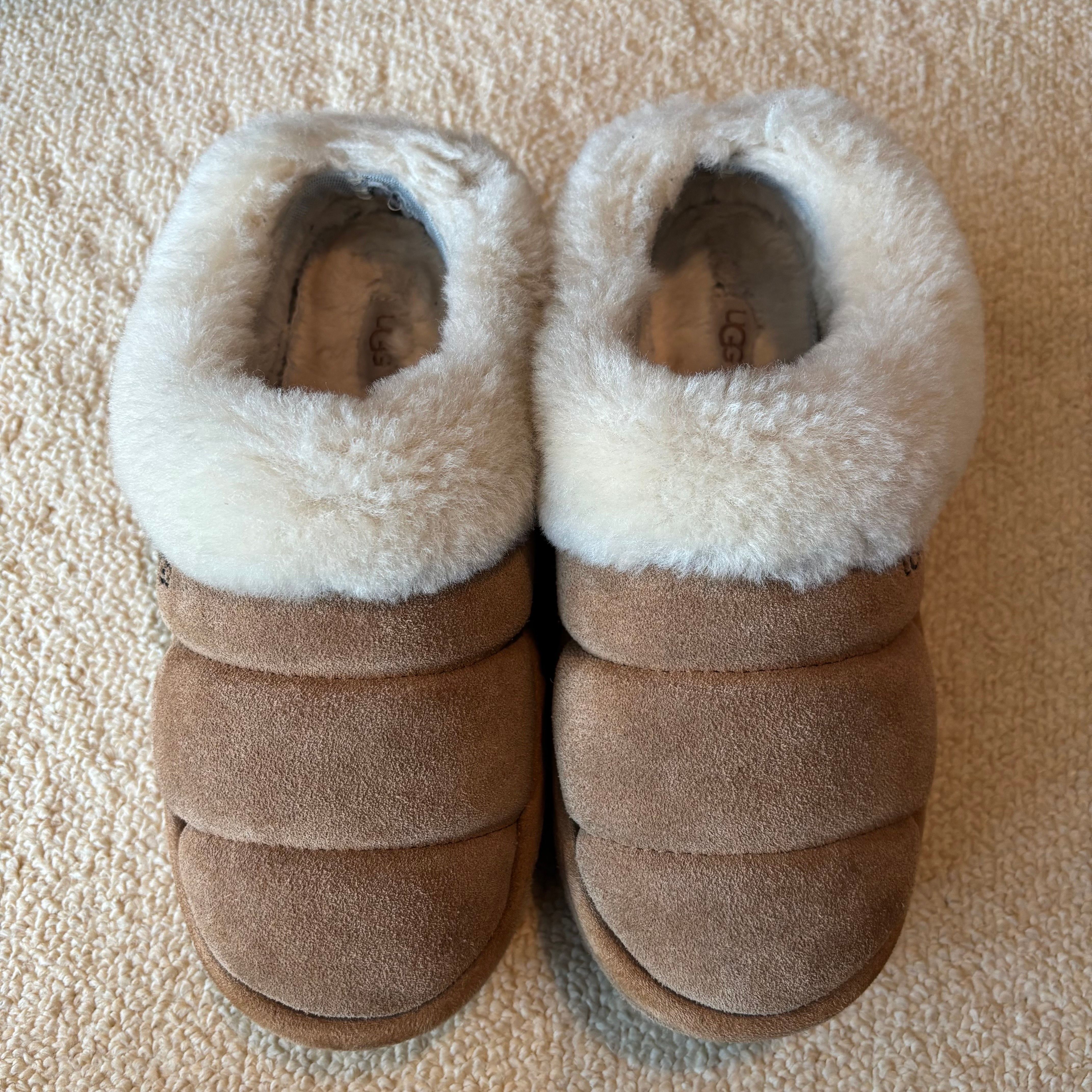 アグ ウィメンズ タズリータ "チェスナット" (厚底 ブーツ)