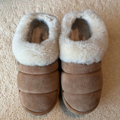 UGG Women's Tazzlita "Chestnut"