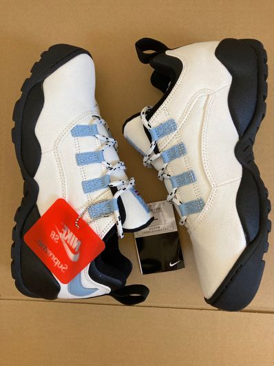 Supreme × Nike SB Darwin Low "White"