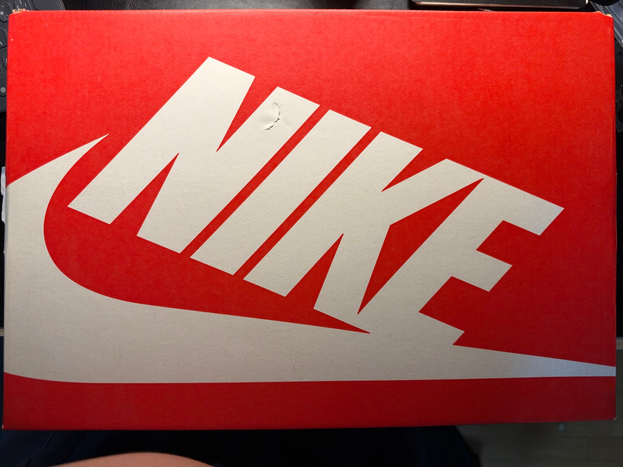 Nike Dunk Low "Grey Fog"