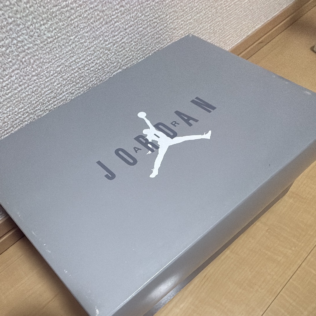 Nike Air Jordan 11 Retro "Cool Grey"