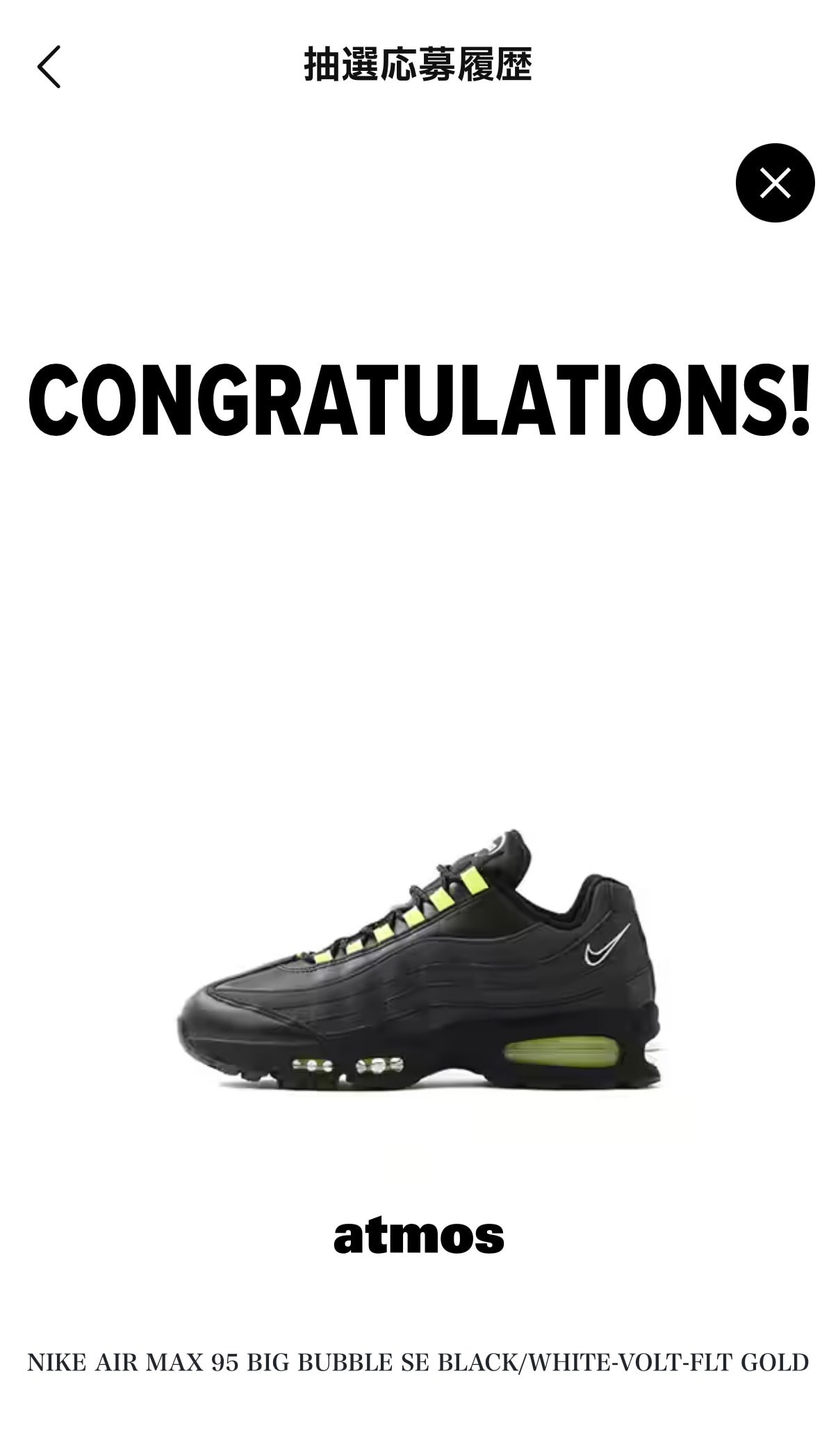 Nike Air Max 95 OG Big Bubble "HRJK"