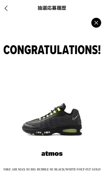 Nike Air Max 95 OG Big Bubble "HRJK"