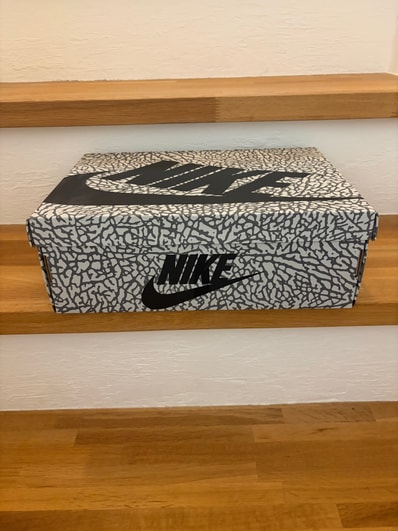 Nike Air Jordan 1 High OG "White Cement/Safari"