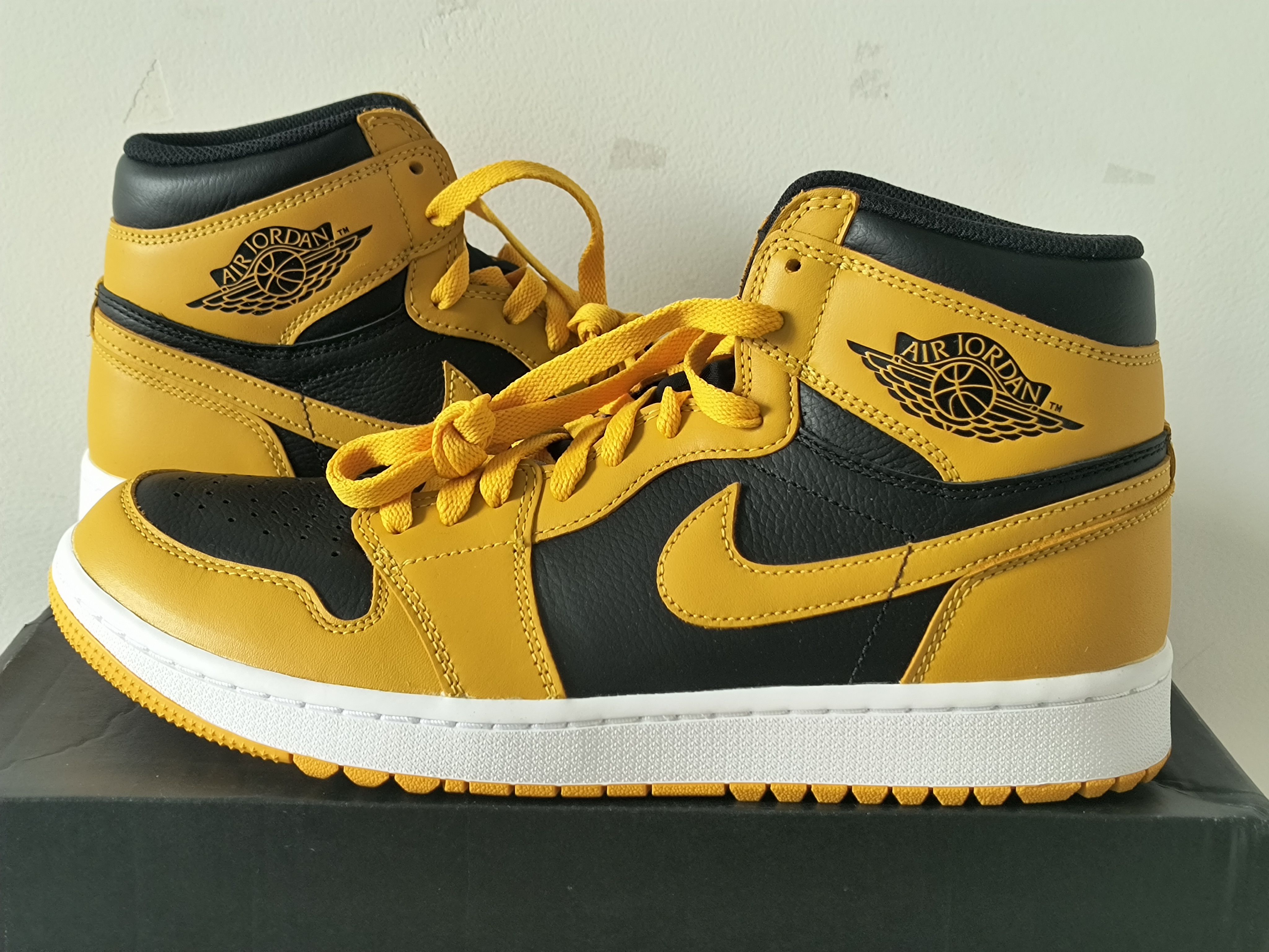 新品未使用　ナイキ　ジョーダンゴルフ　パラン　27.0 ジョーダン1ハイ Nike Air Jordan 1 High Golf 