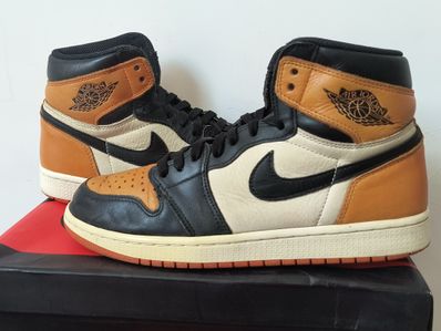 Nike Air Jordan 1 Retro High OG "Shattered Backboard"