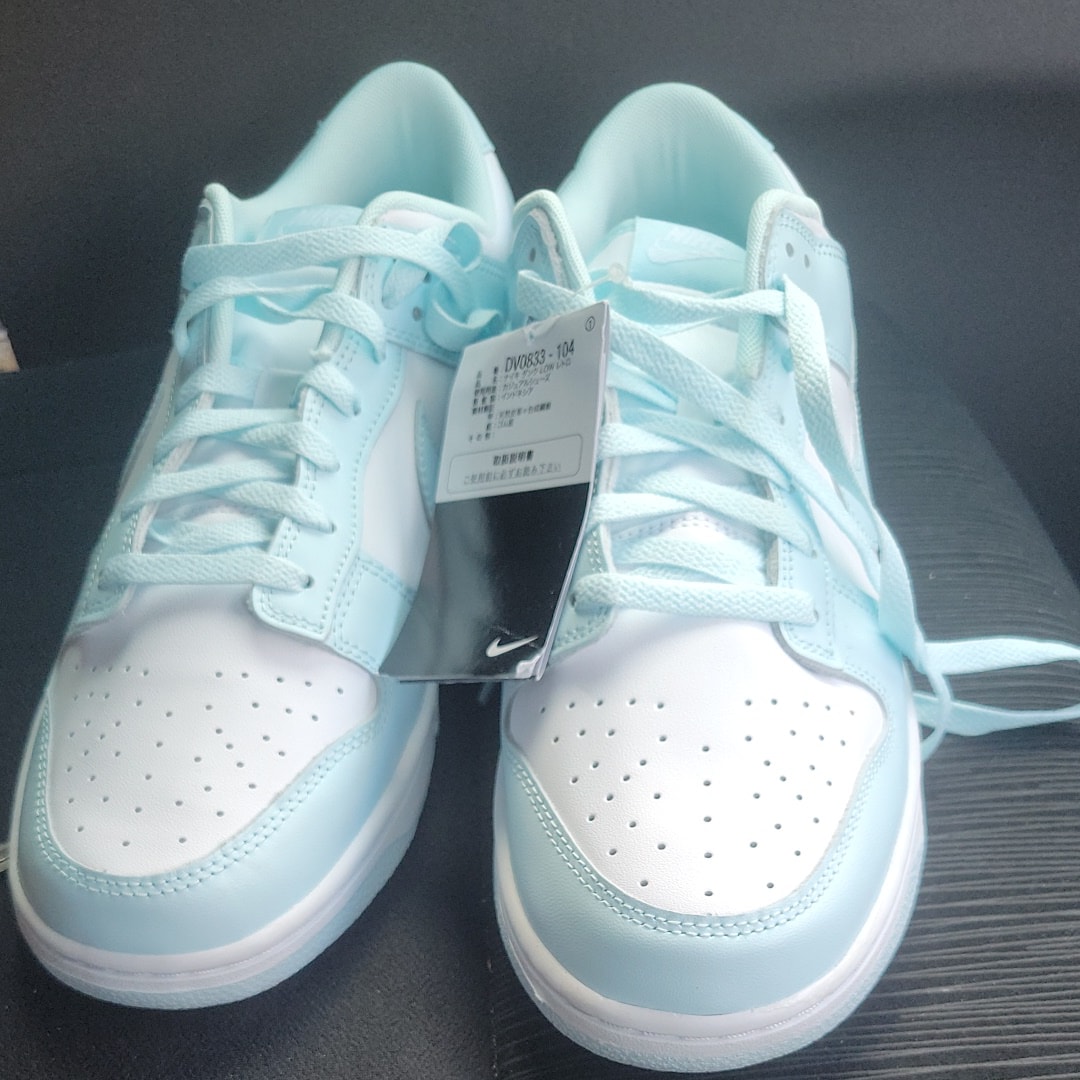 Nike Dunk Low Retro "Glacier Blue"