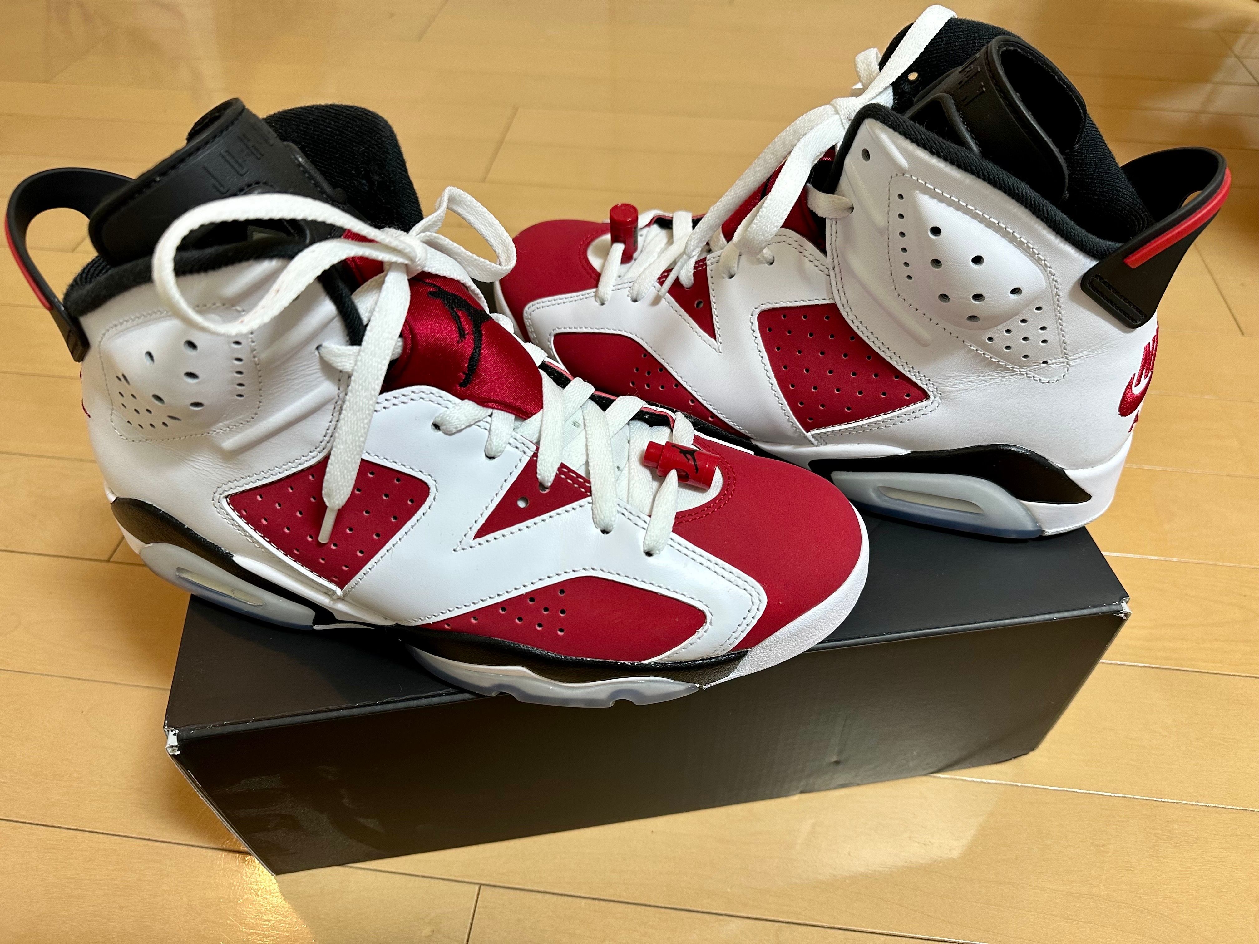 Nike Air Jordan 6 "Carmine" (2021)