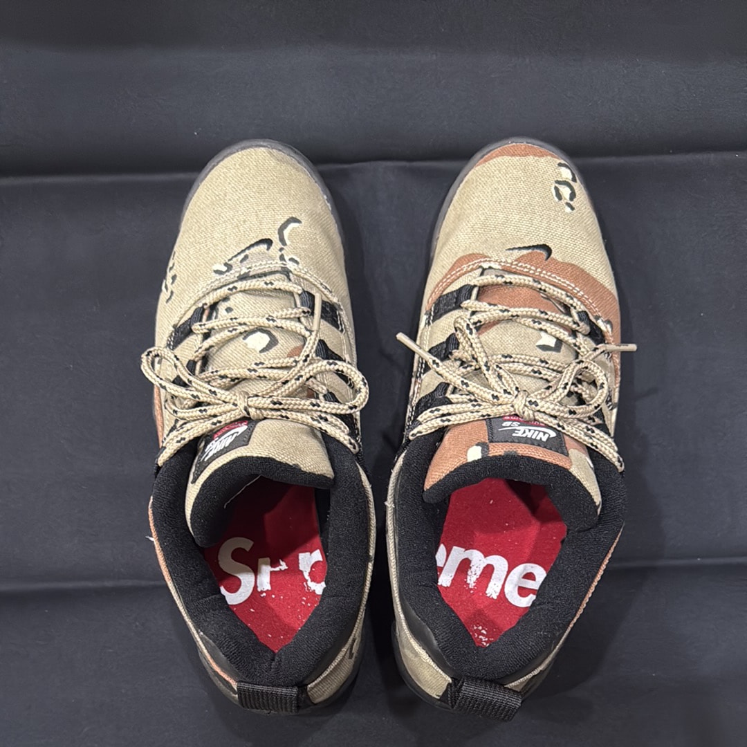 Supreme × Nike SB Darwin Low "Desert Camo"