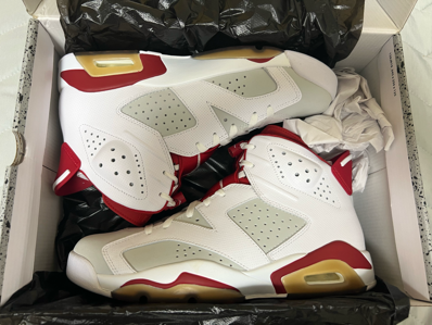 Nike Air Jordan 6 Retro "Altenate Hare"