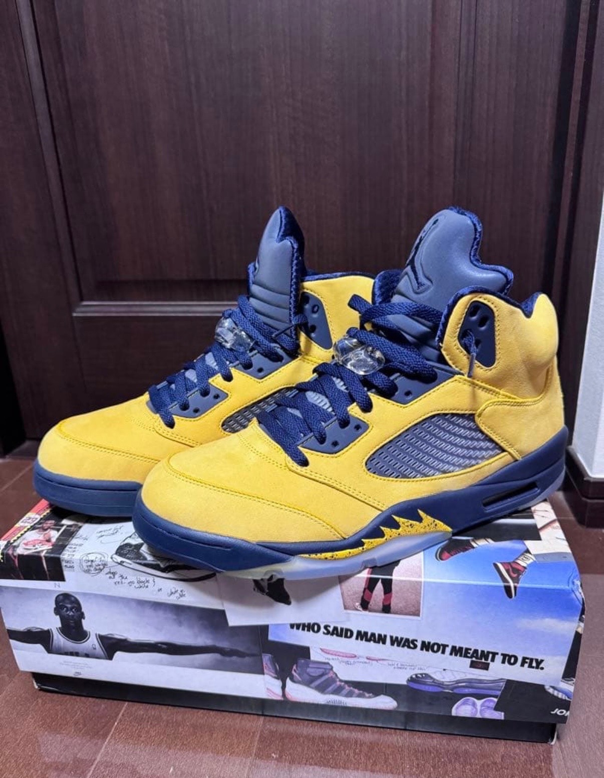 Nike Air Jordan 5 "Michigan"