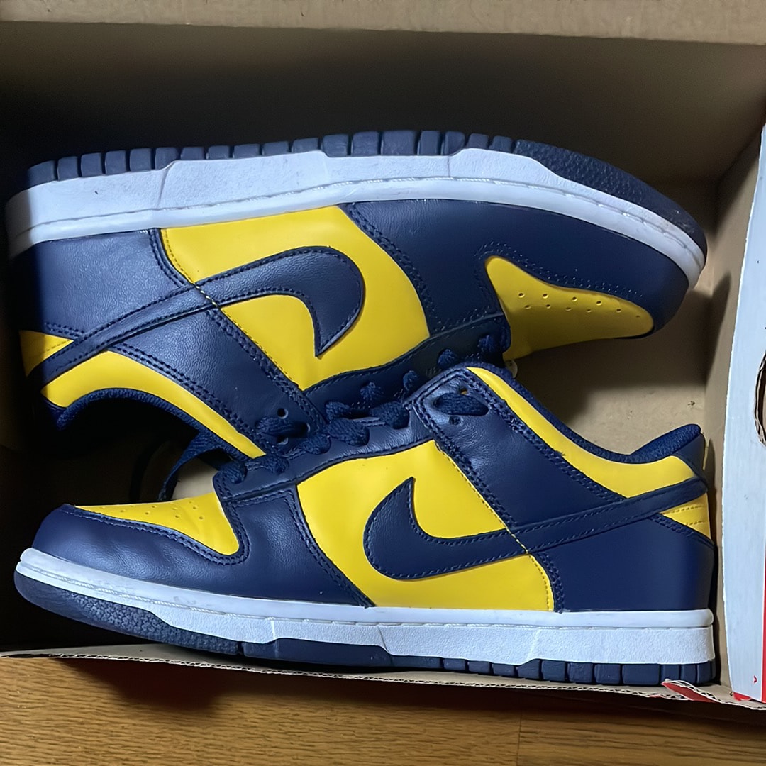 Nike GS Dunk Low "Michigan"
