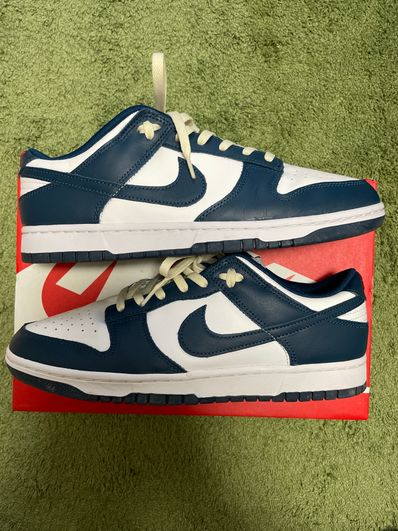 Nike Dunk Low "Valerian Blue"