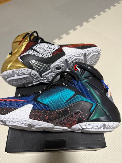 取り扱い不可:Nike Lebron 12 EP "What the Lebron"