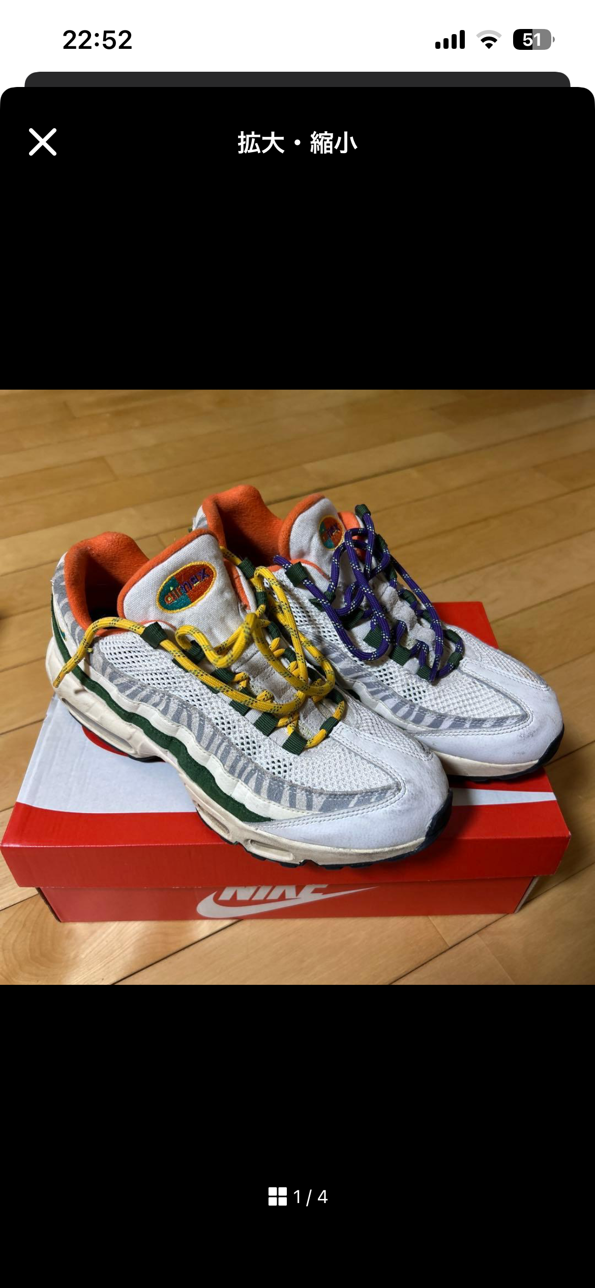 Nike Air Max 95 "ERA"