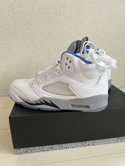 Nike Air Jordan 5 "Stealth 2.0"