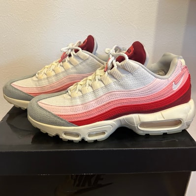 Nike Air Max 95 "Anatomy of Air/Fresh"