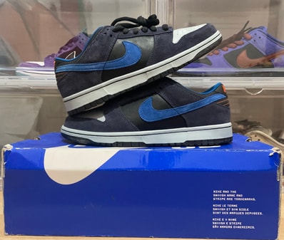 Nike SB Dunk Low "Patagonia"