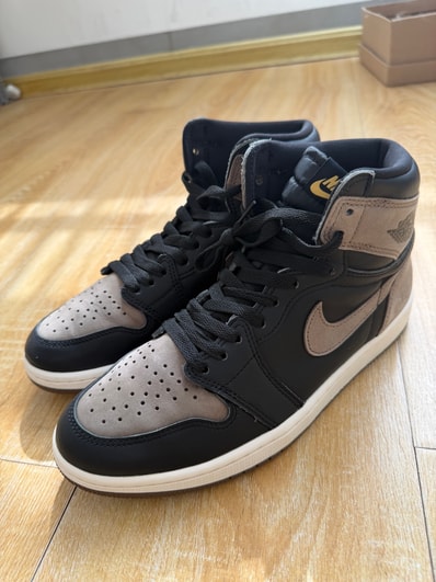 Nike Air Jordan 1 Retro High OG "Palomino"