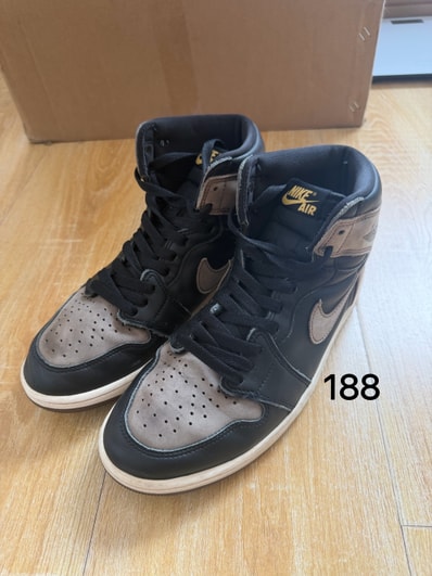 Nike Air Jordan 1 Retro High OG "Palomino"
