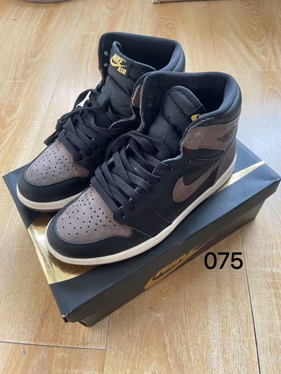 Nike Air Jordan 1 Retro High OG "Palomino"