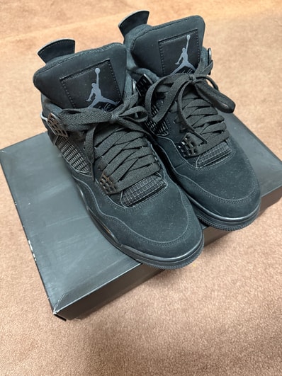 Nike Air Jordan 4 "Black Cat"