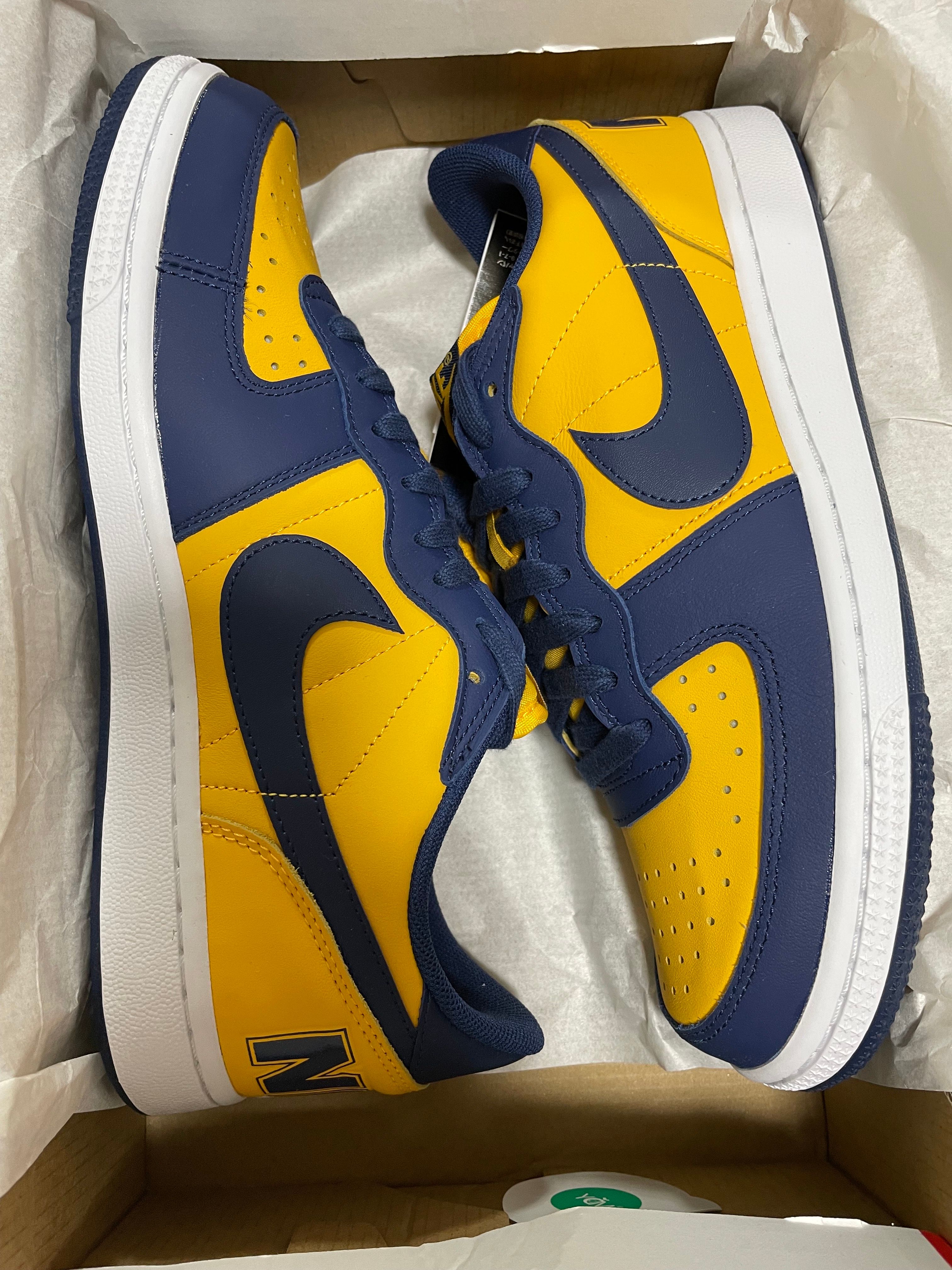 Nike Terminator Low "University Gold and Navy/Michigan"