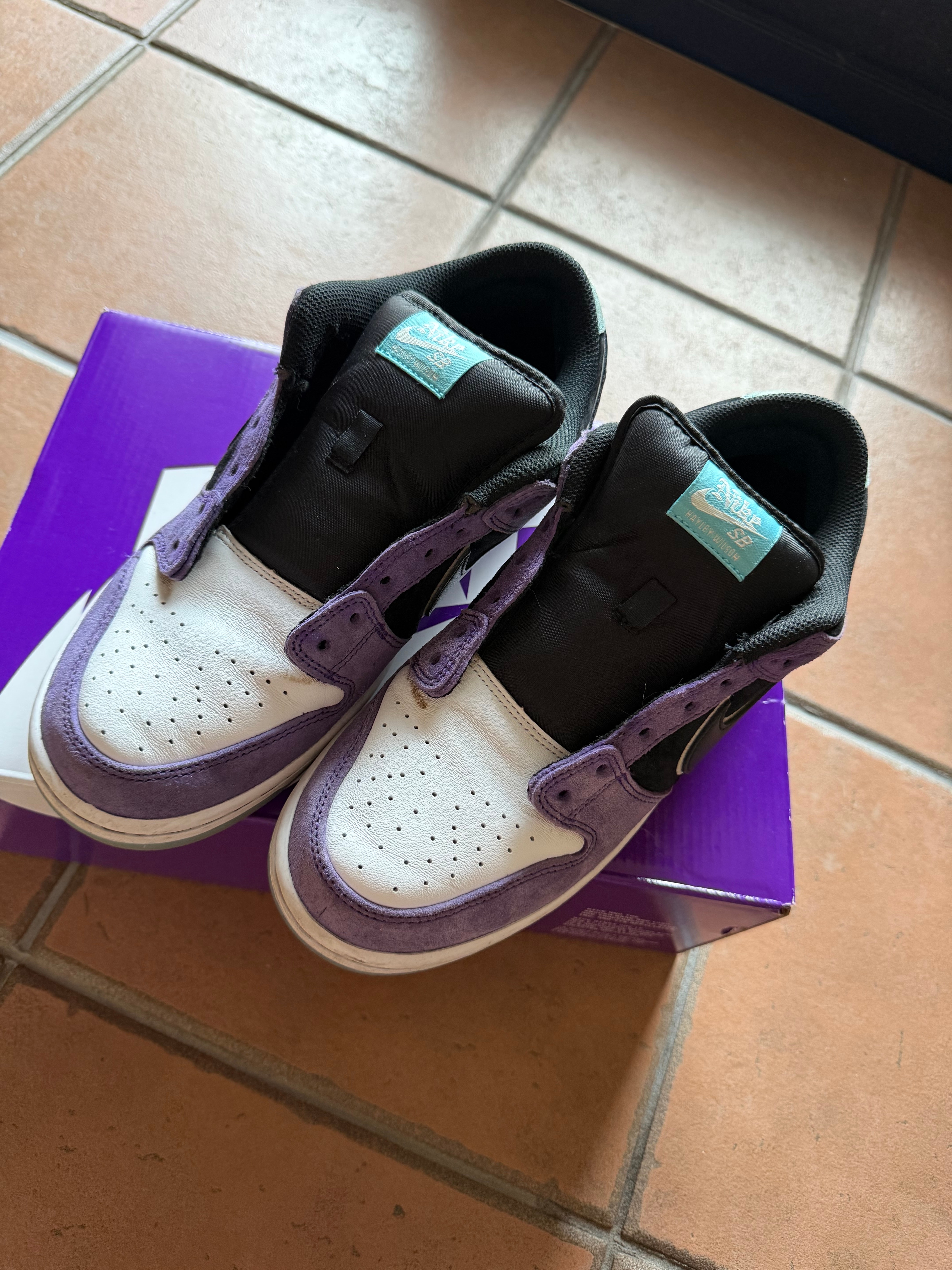 Hayley Wilson × Nike SB Dunk Low Pro "Black and Court Purple"