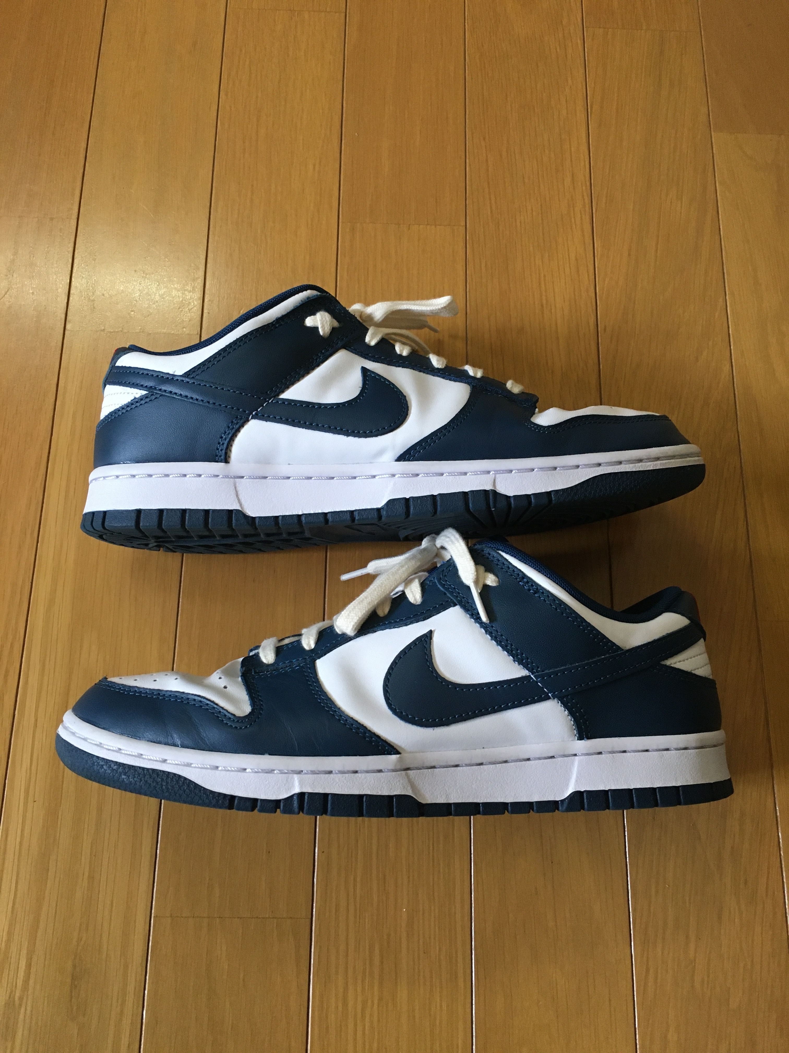 Nike Dunk Low "Valerian Blue"