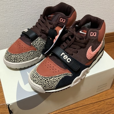 Arts Rec × Nike SB Air Trainer 1 "Earth and Dusty Peach"