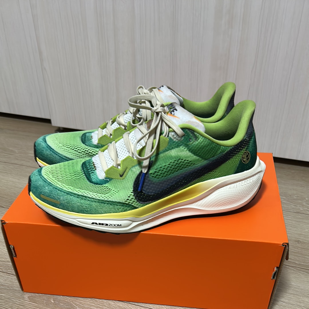 Nike Pegasus 41 "Multi-Color/Vivid Green/Dark Apple/Clear"